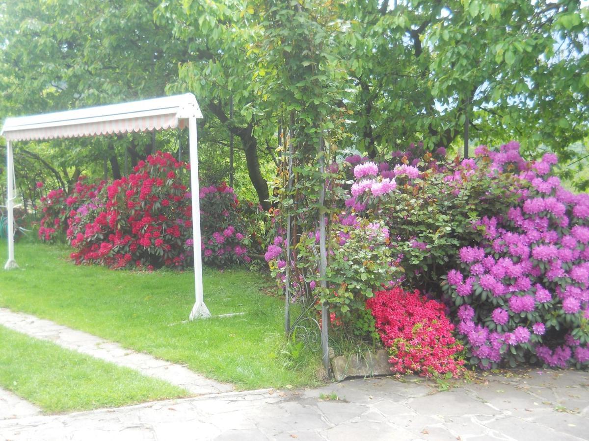 Albergo Negritella Borgo Valsugana Buitenkant foto